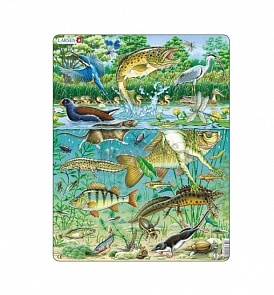 Пазл – Пруд, 50 деталей (Larsen, FH19k)